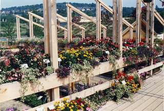 Park an der Enz – Bild 4