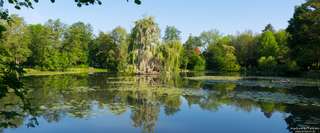 Levinscher Park – Bild 1