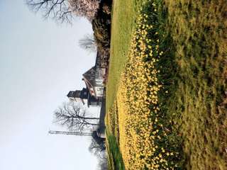 Wildgehege im Nordpark Wuppertal – Bild 3