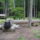 Scherrhof Spielplatz – Bild 2