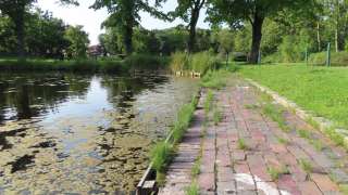 Parkanlage Schwanenteich – Bild 6