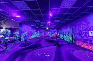 Schwarzlichtlöwen Braunschweig – Bild 1