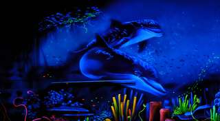 Schwarzlichtlöwen Braunschweig – Bild 2