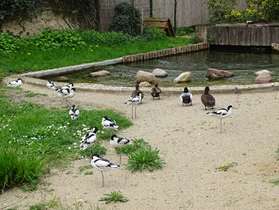Tierpark Dessau, Lehrpark für Tier- und Pflanzenkunde – Bild 3