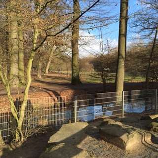 Hirschpark Troisdorf – Bild 1