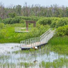 Brandon Tourism (Riverbank Discovery Centre) – Bild 4
