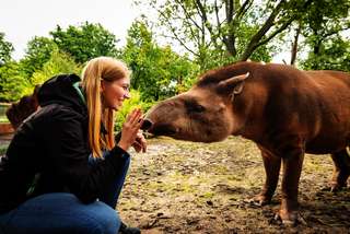 Zoologischer Garten Berlin – Bild 5