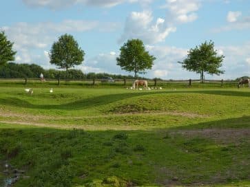 Gut Grütersaap – Bild 1