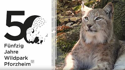 Wildpark Pforzheim – Bild 5