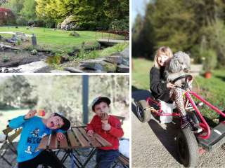 Sterngolf Diepmannsbach – Bild 2