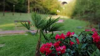 Sterngolf Diepmannsbach – Bild 3