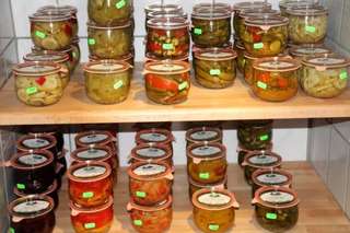 Friedrich Sprave – Bild 2