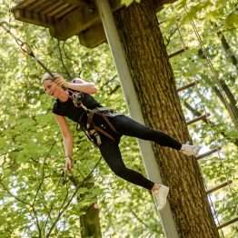 Waldkletterpark Velbert-Langenberg – Bild 2