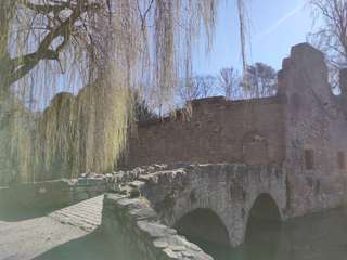 Schöntal – Bild 2