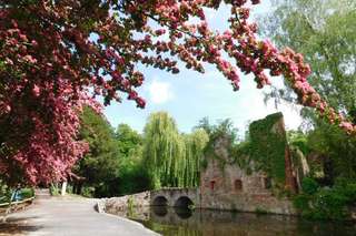 Schöntal – Bild 6