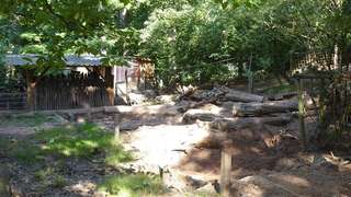 Wildfreigehege Weißhauswald – Bild 2