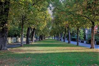 Stadtgarten – Bild 2