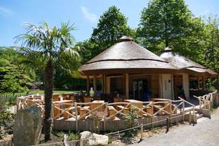 ErdmännchenLodge - Zoo Krefeld – Bild 1