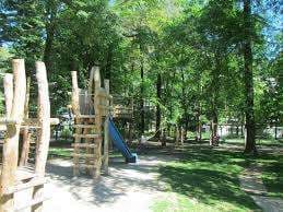 Bosco Isolino – Bild 4