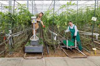 Lebenshilfe Gera - Betriebsstätte Biohof Aga – Bild 4