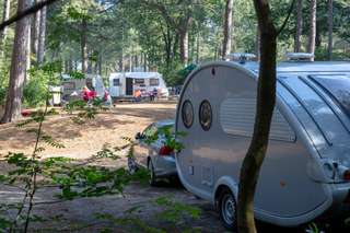 Campingplatz Wernerwald – Bild 3
