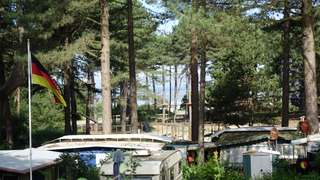 Campingplatz Wernerwald – Bild 4