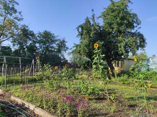 Die Hardtgärten – Bild 4