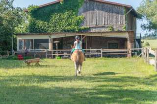 Ferienhof Poggendiek – Bild 2