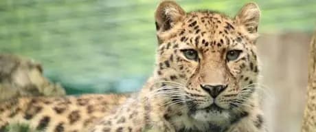 Zoo Dortmund – Bild 5