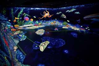 3D Schwarzlicht Minigolf Ehrenfeld – Bild 1