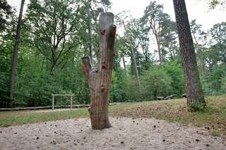 Waldspielplatz – Bild 4