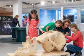 BIOTOPIA Lab – Bild 1