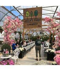 Anga's Farm & Nursery – Bild 1