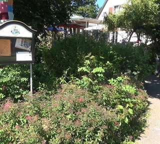 Pomologie – Bild 4