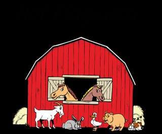 Ponyschule und Bauernhofpädagogik Hof Flagmeier – Bild 1