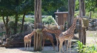 Zoo Osnabrück – Bild 1