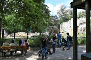 Zoo Osnabrück – Bild 4