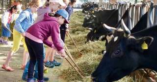 Lernort Bauernhof Hofgut Oberfeld – Bild 4