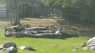 Tiergehege – Bild 4