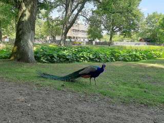 Tiergehege – Bild 6