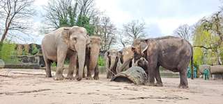 Tierpark Hagenbeck – Bild 1