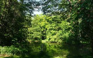 Ortlohnpark – Bild 2