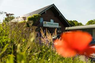 Hofladen Köster – Bild 2