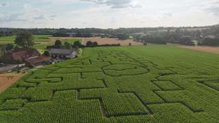 Maislabyrinth Bad Oeynhausen von „Das Mauerwerk“ und „Schmidt Agrar GmbH“ – Bild 2