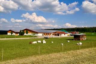 Lohwiesenhof – Bild 3