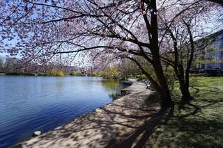 Schrevenpark – Bild 3