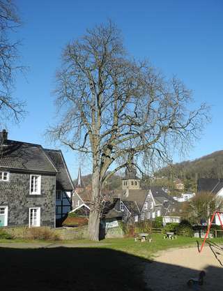 Spielplatz „Wiemhof“ – Bild 1