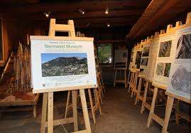 Bannwald Museum – Bild 1