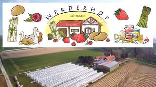 Werderhof Göttingen - Hofladen – Bild 3