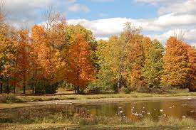 Mac Johnson Wildlife Area – Bild 1